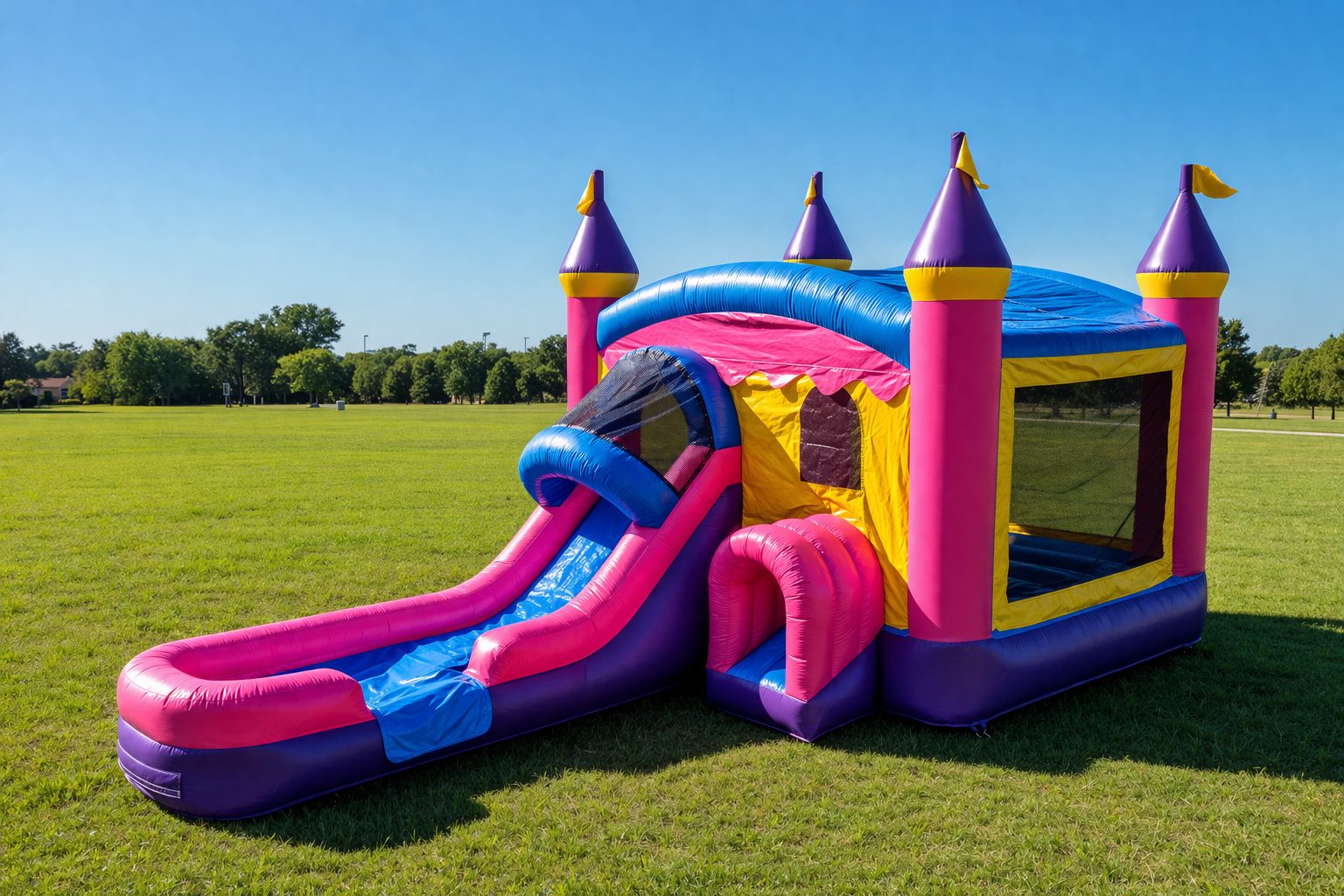 Single Princess Waterslide